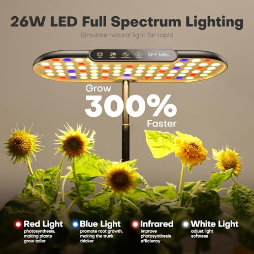 Ahopegarden Hydroponics Growing System kit: Indoor Herb Garden - 12 Pods Plant Germination Kit with LCD Display and LED Grow Light, Smart Temp & Humidity Detection, Planter Grower for Fresh Vegetables - Image 2