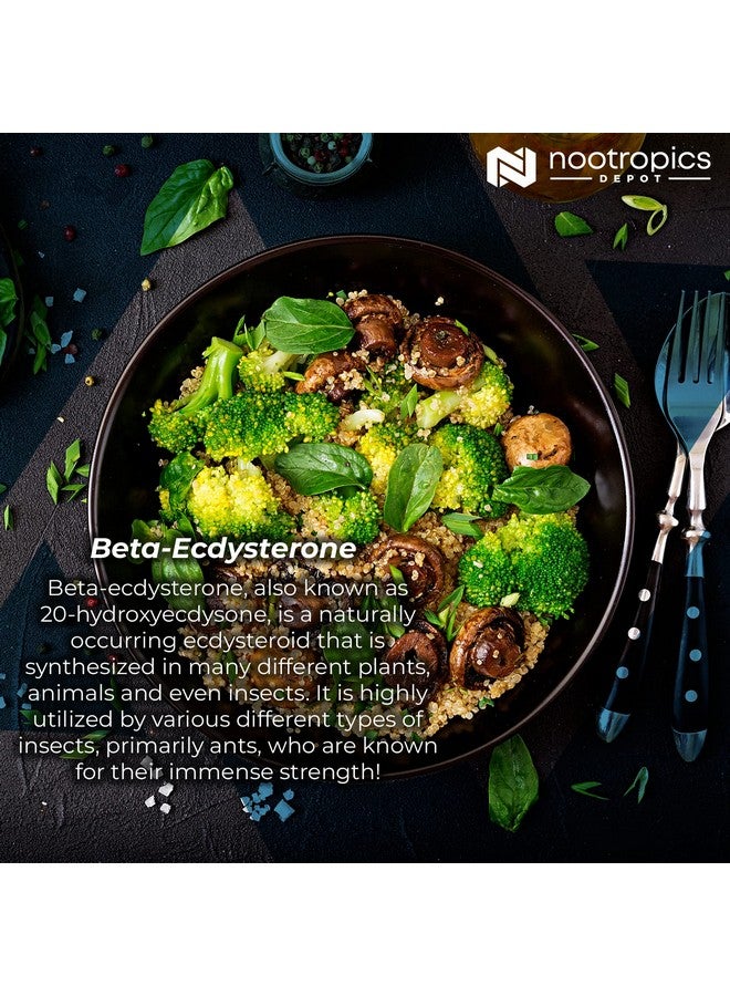 Nootropics Depot Beta Ecdysterone/20-Hydroxyecdysone 50% Tablets | 500mg | Cyanotis Arachnoidea Extract | Phytoecdysteroid | 30 Count - Image 4