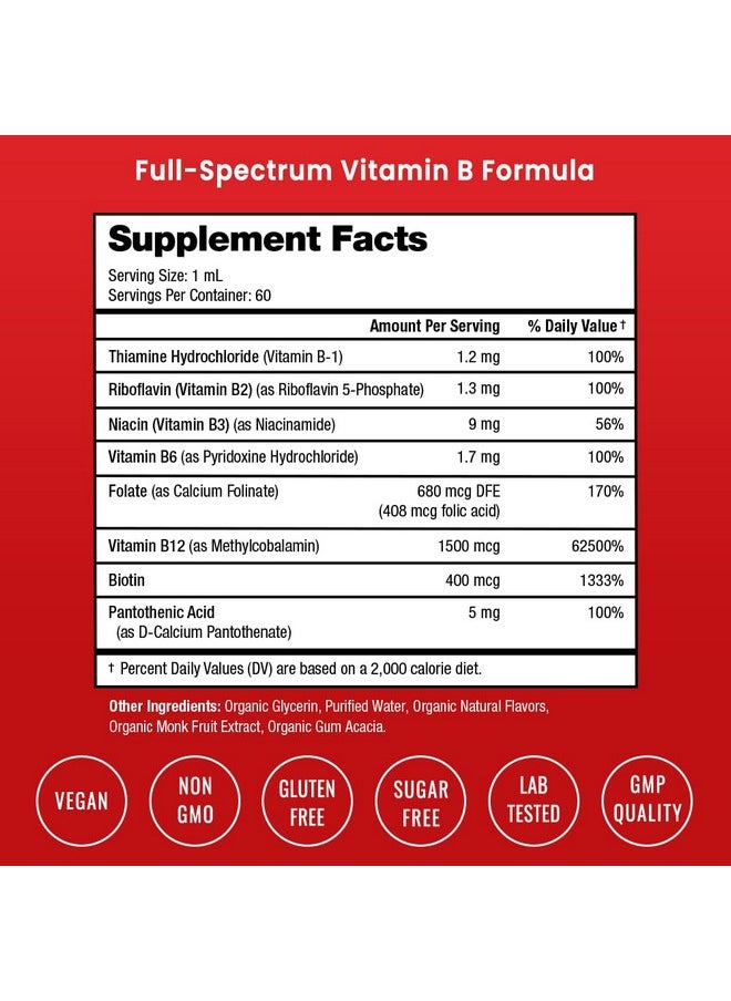 ناتشوراتشامبس قطرات سائلة من فيتامين ب المركب من NutraChamps | مكمل فيتامينات ب المركب مع قطرات من فيتامينات ب1، ب2، ب3، ب6، ب7، ب9 وميثيل ب12 للبالغين والأطفال | نكهة التوت النباتية 2 أونصة | 60 وجبة / إمداد لمدة شهرين  - Image 2
