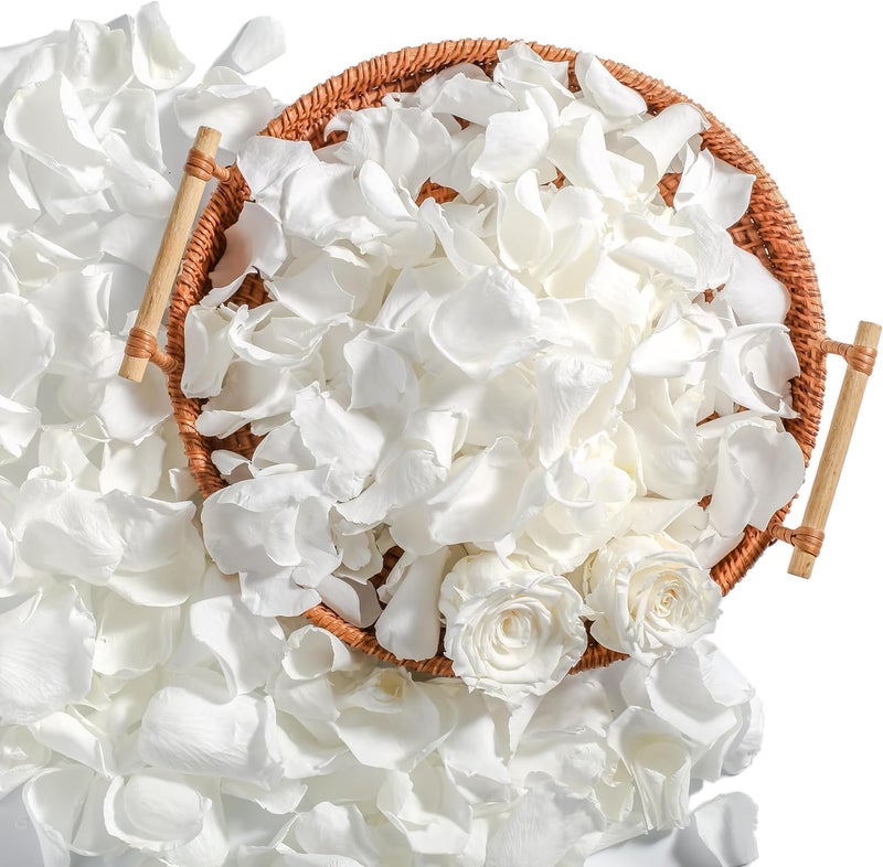Real Ivory Rose Petals Frozen Preserved Petals for Wedding Party Decorations Dried Flower Confetti Rose Flower Girl Table Centerpieces Bridal Shower 317 oz 90 g