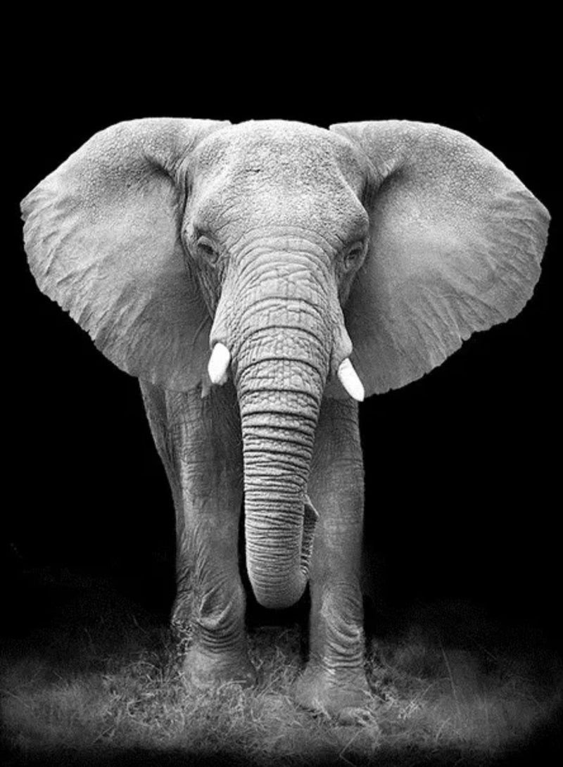 STRATEG DIY 5D Round Diamond Painting Craft Kits Multicolor - Image 1