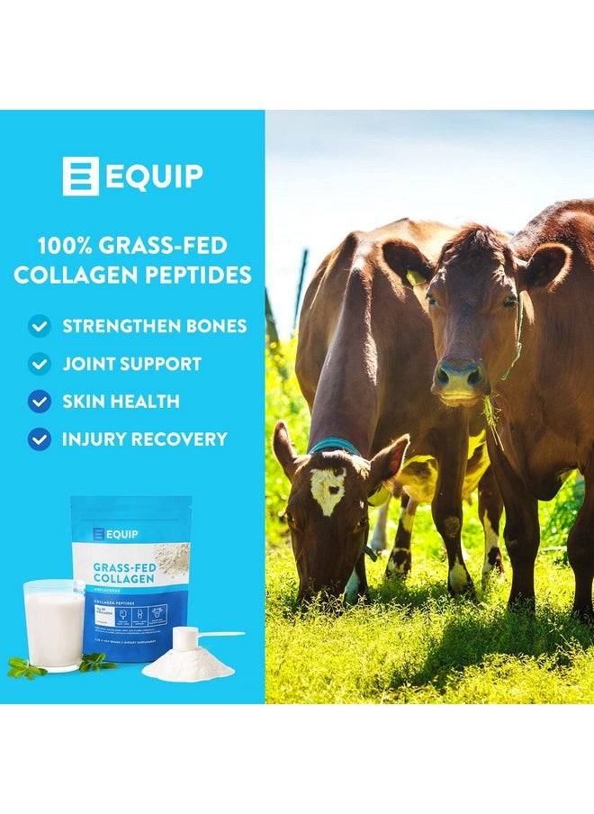 Equip - Foods Grass Fed Collagen Powder 100% Hydrolyzed Bovine Collagen Peptides With Amino Acids Prime Beef Collagen For Healthy Joints Skin & Nails 1 Pound Unflavored - Image 1