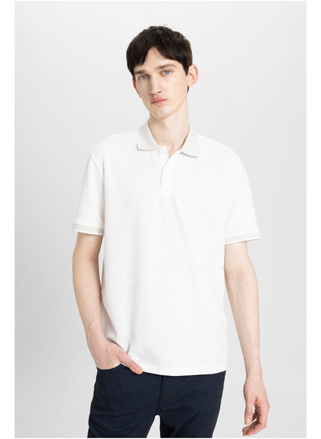 Man Regular Fit Knitted Polo T-Shirt