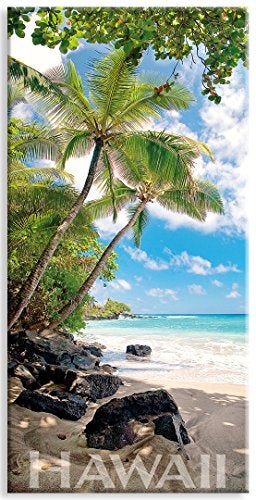 Panoramic Hawaiian Art Collectible Refrigerator Magnet Hamoa Beach by Michael Monica Sweet