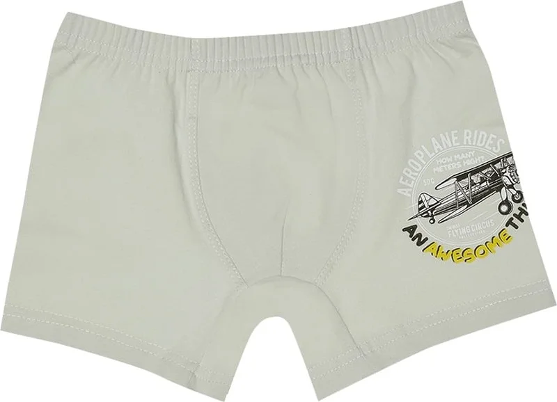 Donella 10 Pcs Color Aircraft Printed Boy's Boxer - 75711271B