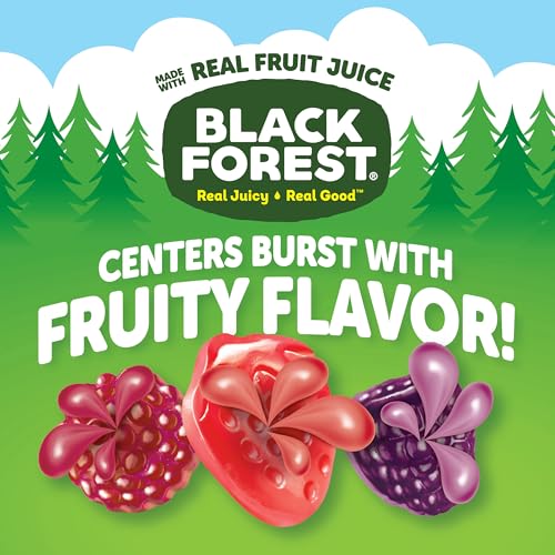 Black Forest Juicy Burst Fruit Snacks Berry Medley 08 Ounce Pouches 40 Count - Image 5