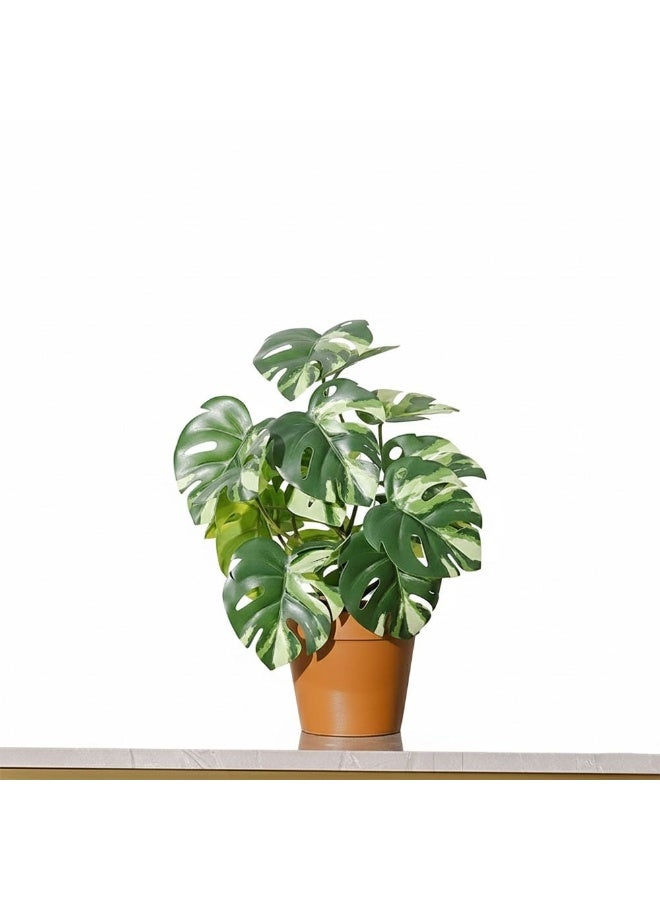 DANUBE HOME نبات مونيسترا صناعي صغير في وعاء أبيض 51 سم، نبات زينة مزيف بـ 17 ورقة لتزيين الداخل، لمسة أنيقة للمنزل والمكتب بتفاصيل واقعية - أخضر/أبيض - Image 1