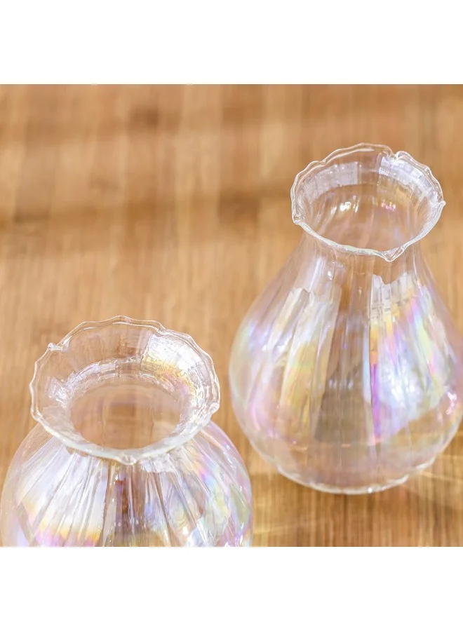 DANUBE HOME Danube Home Treo Iridescence Vase Set Of 2 - (10.5X12.9Cm & 10.4X15Cm)|Multi Color Glass Home Decor Collection Elegant Vases For Fresh Flowers & Modern Interior Design Decorative Home Accessories