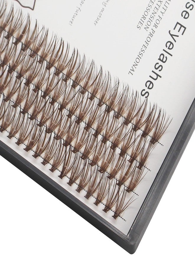 Bodermincer Brown Eyelash Extension 20D Cluster Soft Faux Mink False Eyelashes Natural Soft Natural Individual Eyelashes (10mm, Brown) - Image 2