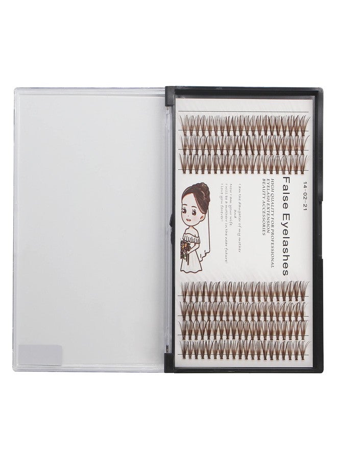 Bodermincer Brown Eyelash Extension 20D Cluster Soft Faux Mink False Eyelashes Natural Soft Natural Individual Eyelashes (10mm, Brown) - Image 5
