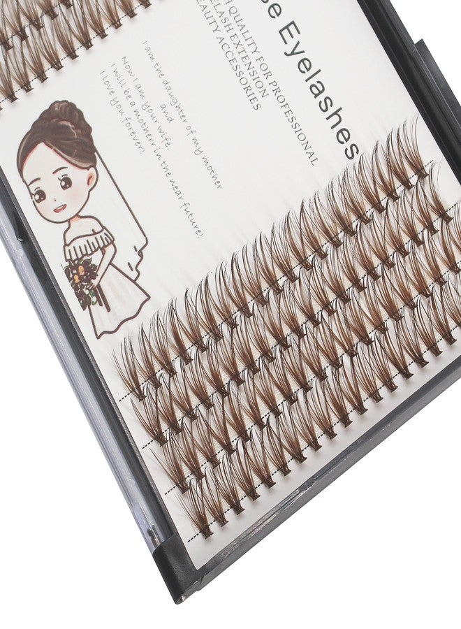 Bodermincer Brown Eyelash Extension 20D Cluster Soft Faux Mink False Eyelashes Natural Soft Natural Individual Eyelashes (10mm, Brown) - Image 3