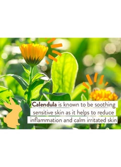 Babo Botanicals Babo Botanicals Moisturizing Oat & Calendula Conditioner - Silicone-Free - For Dry or Sensitive Skin - For all ages - Vegan - Lightly Scented  - Image 4