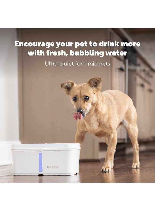 بيت سيف نافورة مياه بيت سيف فيفا للحيوانات الأليفة للقطط والكلاب - 4.1 لتر/140 أونصة، نافورة مياه داخلية للقطط مع مضخة فائقة الهدوء، آمنة للاستخدام في غسالة الأطباق، سهلة التنظيف، تتضمن فلاتر مياه - Image 2