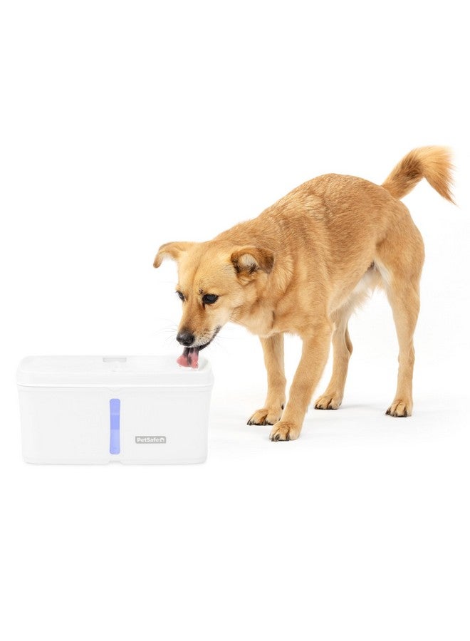 بيت سيف نافورة مياه بيت سيف فيفا للحيوانات الأليفة للقطط والكلاب - 4.1 لتر/140 أونصة، نافورة مياه داخلية للقطط مع مضخة فائقة الهدوء، آمنة للاستخدام في غسالة الأطباق، سهلة التنظيف، تتضمن فلاتر مياه - Image 1