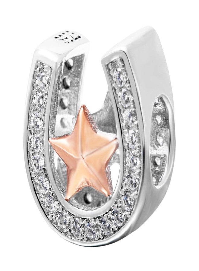 LAMOONY Horseshoe Charm 925 Sterling Clover Charm Love Charm Star Charm Anniversary Charm for Pandora Charm Pandora Charm Bracelet (Star) - Image 1