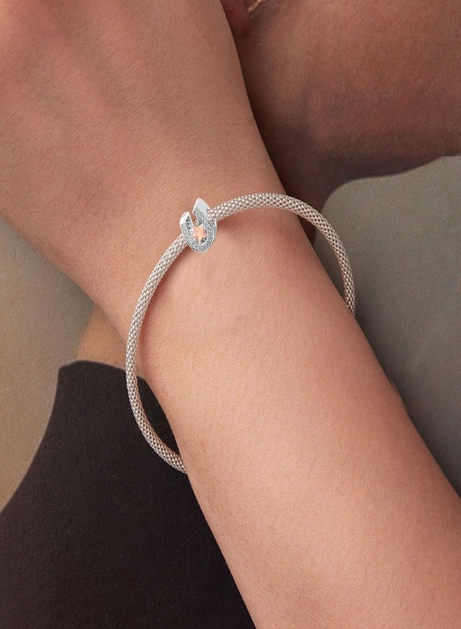 LAMOONY Horseshoe Charm 925 Sterling Clover Charm Love Charm Star Charm Anniversary Charm for Pandora Charm Pandora Charm Bracelet (Star) - Image 3