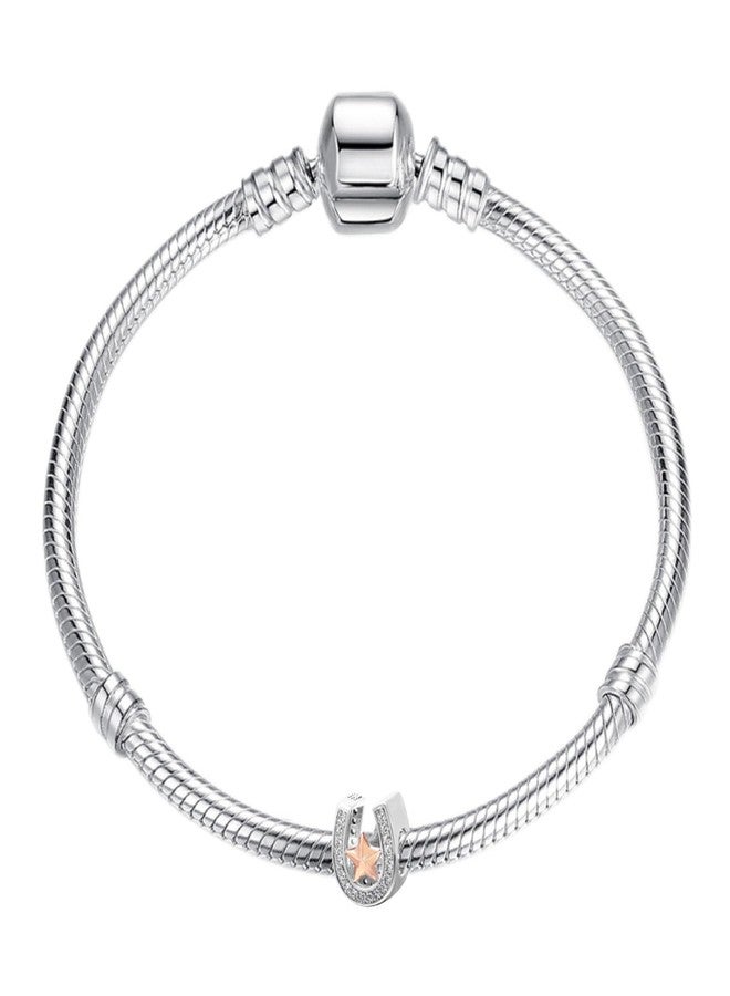 LAMOONY Horseshoe Charm 925 Sterling Clover Charm Love Charm Star Charm Anniversary Charm for Pandora Charm Pandora Charm Bracelet (Star) - Image 5