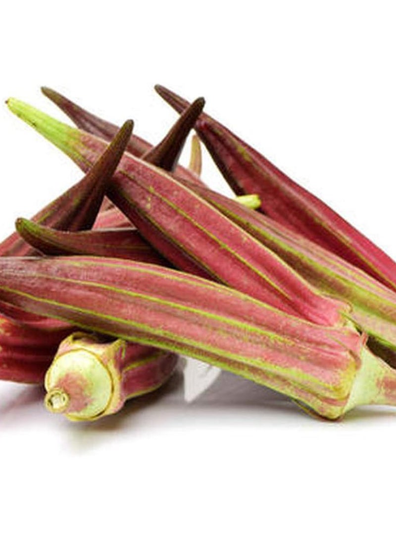 GGOOT 100Pcs Red Okra Seeds  - Image 1