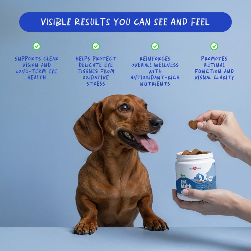 Coco and Luna Eye Support for Dogs - 90 Soft Chews - Dog Supplements for Vision, Eye Vitamins for Dogs, with Cod Liver Oil Antioxidant, Dog Omega Supplement, Omega 3 EPA and DHA Fatty Acids. - Image 3