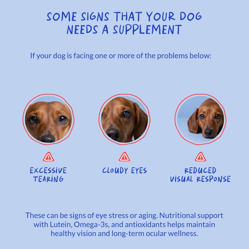 Coco and Luna Eye Support for Dogs - 90 Soft Chews - Dog Supplements for Vision, Eye Vitamins for Dogs, with Cod Liver Oil Antioxidant, Dog Omega Supplement, Omega 3 EPA and DHA Fatty Acids. - Image 5