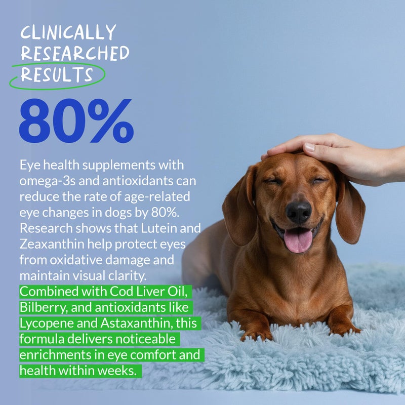 Coco and Luna Eye Support for Dogs - 90 Soft Chews - Dog Supplements for Vision, Eye Vitamins for Dogs, with Cod Liver Oil Antioxidant, Dog Omega Supplement, Omega 3 EPA and DHA Fatty Acids. - Image 4