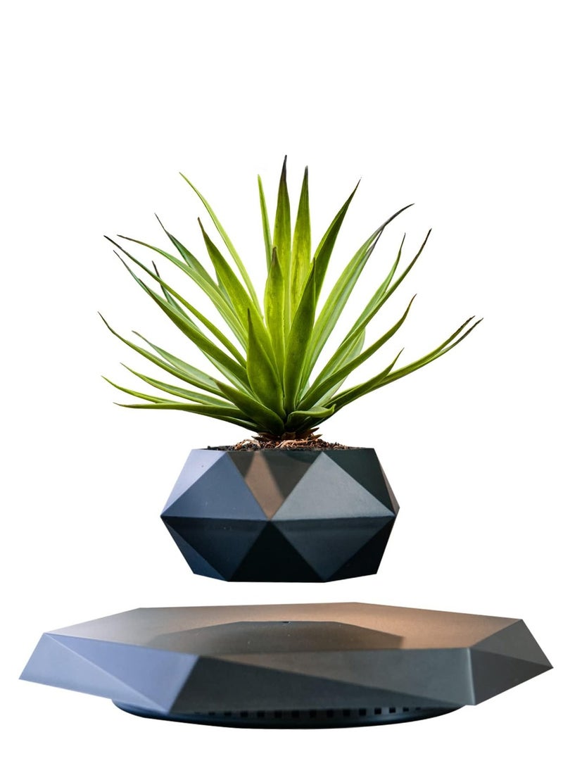 Generic PeacePlanet Floating Flower Pot, Plant Vase, Gift, Levitate & Rotate in Air, Night Light, Touch Control, Gift for Girlfriend, Mom, Birthday, Anniversary (Black)  - Image 1