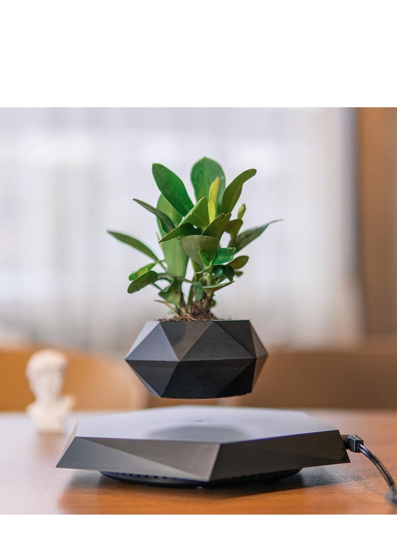 Generic PeacePlanet Floating Flower Pot, Plant Vase, Gift, Levitate & Rotate in Air, Night Light, Touch Control, Gift for Girlfriend, Mom, Birthday, Anniversary (Black)  - Image 4