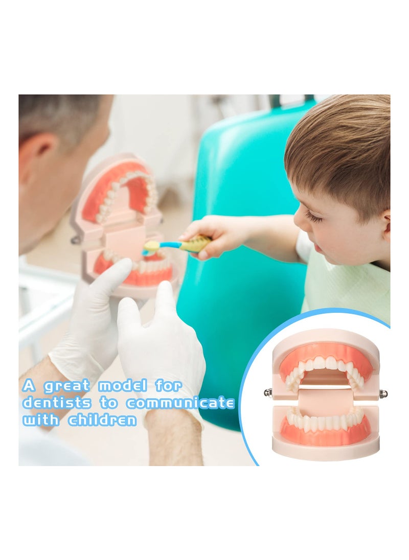 SYOSI - 2PCS Educational Dental Teaching Model, Dental Study Mouth Model Toy Dental Teeth Display Fake Dentures Demonstration Tool Dentures Demonstration for Kids Dental Teaching Study Supplies - Image 1