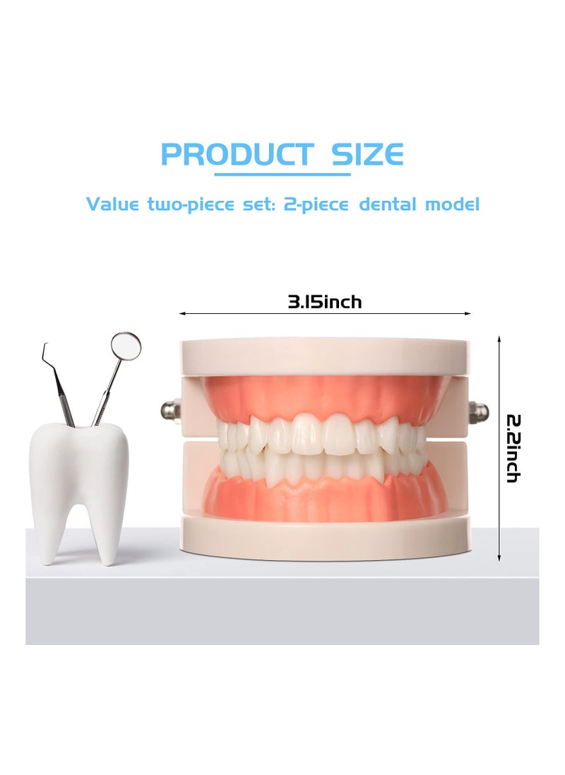 SYOSI - 2PCS Educational Dental Teaching Model, Dental Study Mouth Model Toy Dental Teeth Display Fake Dentures Demonstration Tool Dentures Demonstration for Kids Dental Teaching Study Supplies - Image 1