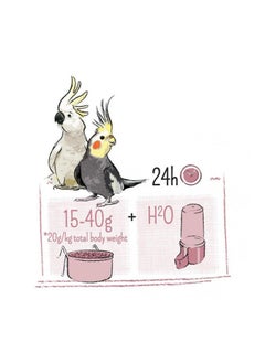 China Puur Parakeet & Cocktail 2kg  - Image 3