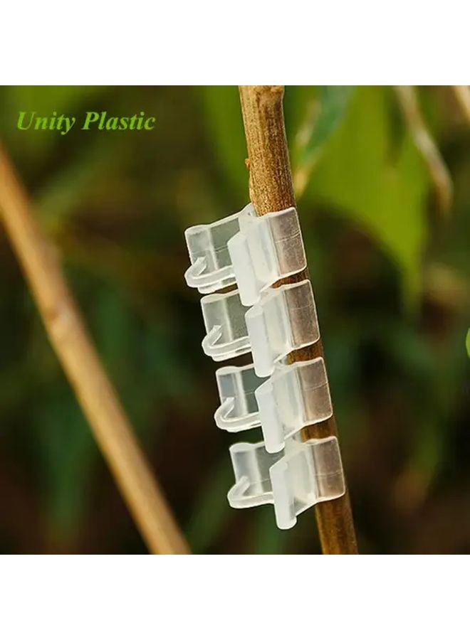 Transparent Plant Plastic Grafting Clips 100pcs For Seedlings Vegetables Fruits - Image 2