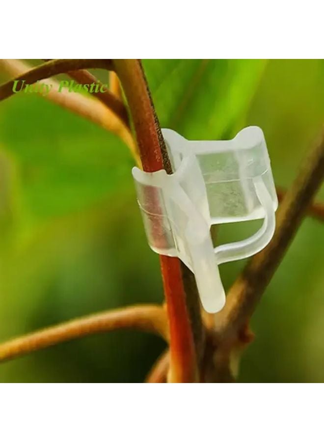 Transparent Plant Plastic Grafting Clips 100pcs For Seedlings Vegetables Fruits - Image 5