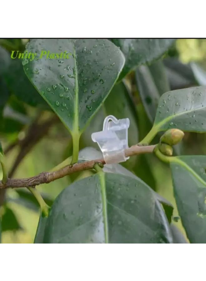 Transparent Plant Plastic Grafting Clips 100pcs For Seedlings Vegetables Fruits - Image 1