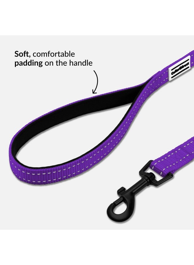 CollarDirect Nylon Dog Leash 5ft for Daily Outdoor Walking Running Training Heavy Duty Reflective Pet Leashes for Large, Medium & Small Dogs (Purple, Large) - Image 3