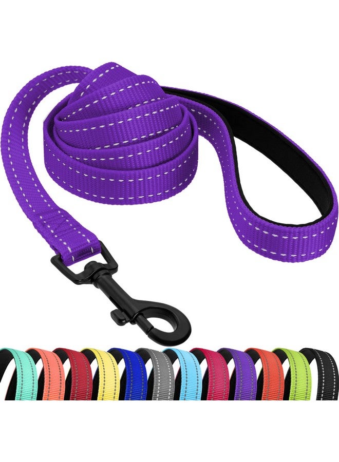 CollarDirect Nylon Dog Leash 5ft for Daily Outdoor Walking Running Training Heavy Duty Reflective Pet Leashes for Large, Medium & Small Dogs (Purple, Large) - Image 1
