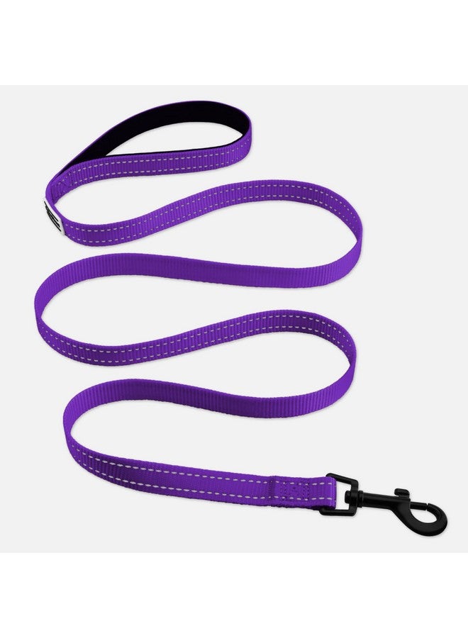 CollarDirect Nylon Dog Leash 5ft for Daily Outdoor Walking Running Training Heavy Duty Reflective Pet Leashes for Large, Medium & Small Dogs (Purple, Large) - Image 5