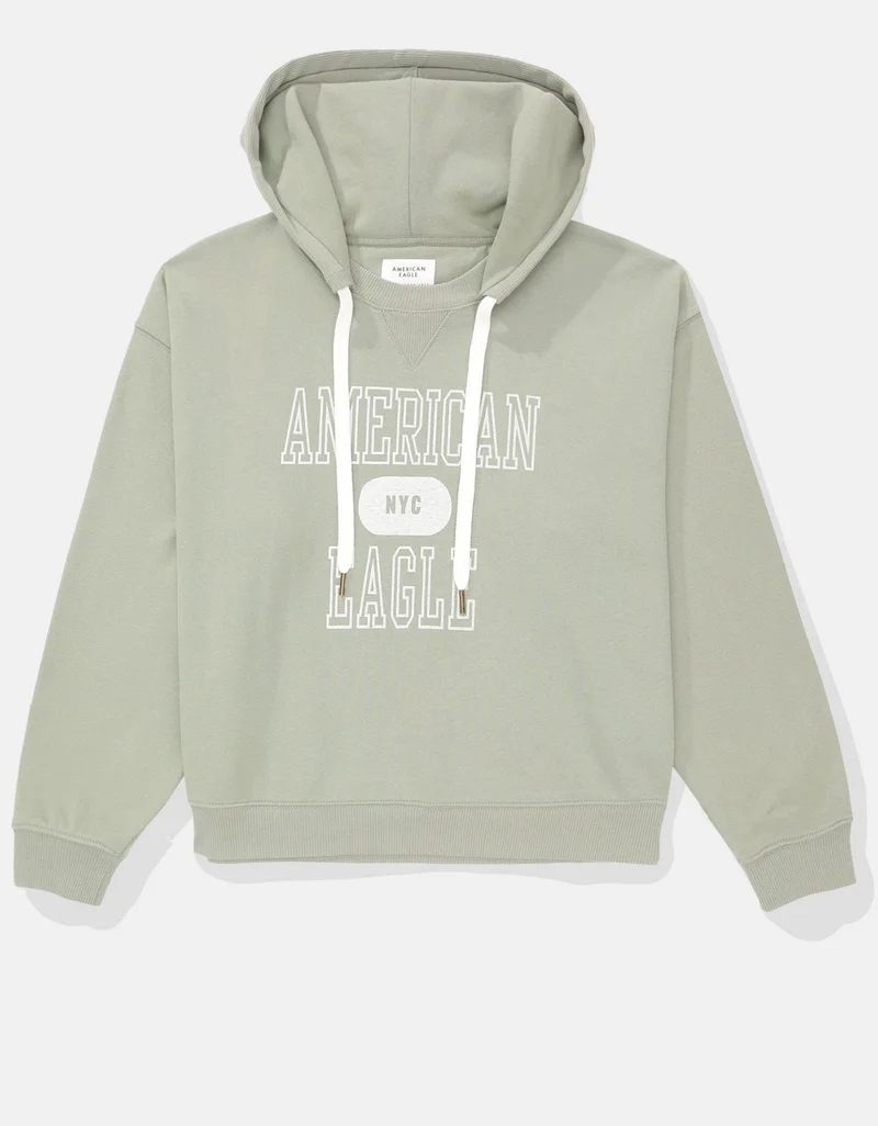 American Eagle Graphic Hoodie