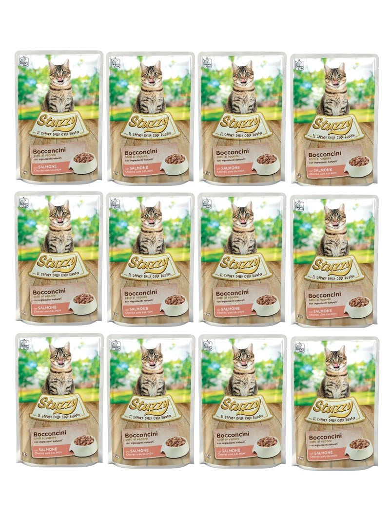 Pack of 24pcs Cat Chunks with Salmon 24x85g