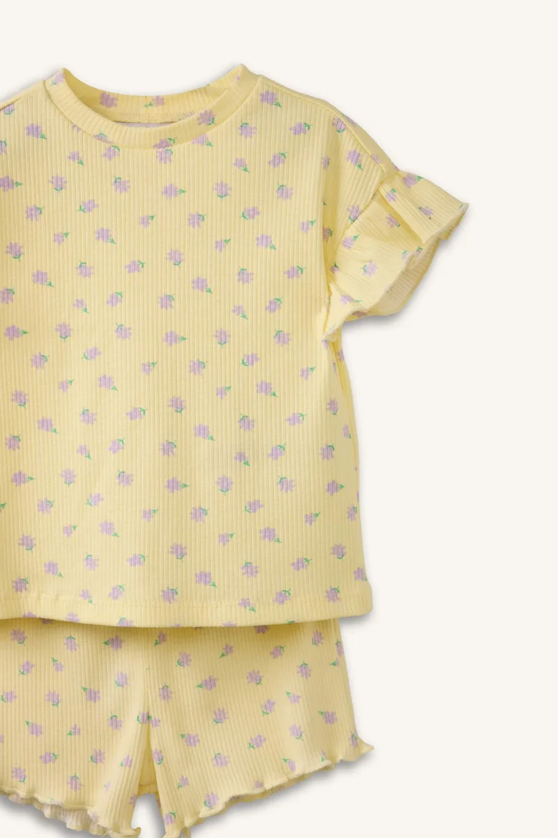 DeFacto Baby Girl 2 piece Regular Fit Crew Neck T-shirt and Shorts Set