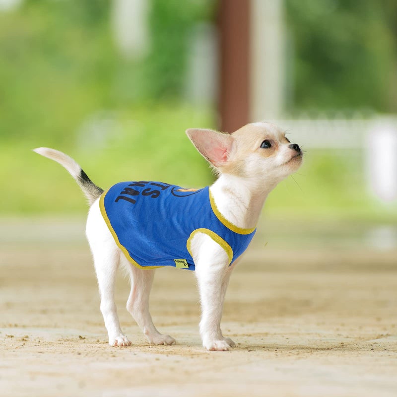 Saintrygo 8 Pieces Dog Shirts Pet Printed Clothes with Funny Letters Summer Pet T Shirts Cool Puppy Breathable Dog Outfit Soft Sweatshirt Cats(Classic Pattern,X- Small) - Image 5