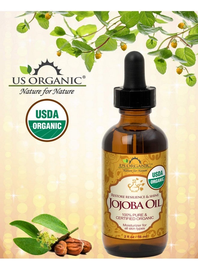 US Organic Jojoba Oil, Usda Certified Organic,100% Pure & Natural, Cold Pressed Virgin, Unrefined, Haxane Free, Sourced From Middle East Directly (Small (2Oz, 56Ml)) - Image 2