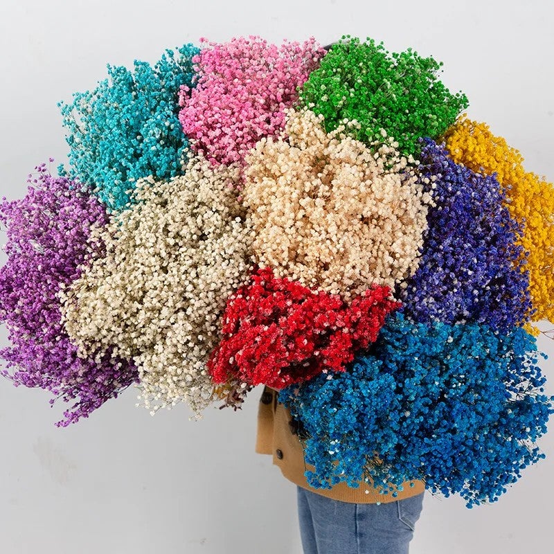 Bluejw G32 Wedding Decor: Natural Dried Babys Breath & Pampas Grass Bouquet, Gypsophila Branches Floral Wreath Table Vase DIY - Dried Plants Arrangement - Image 4
