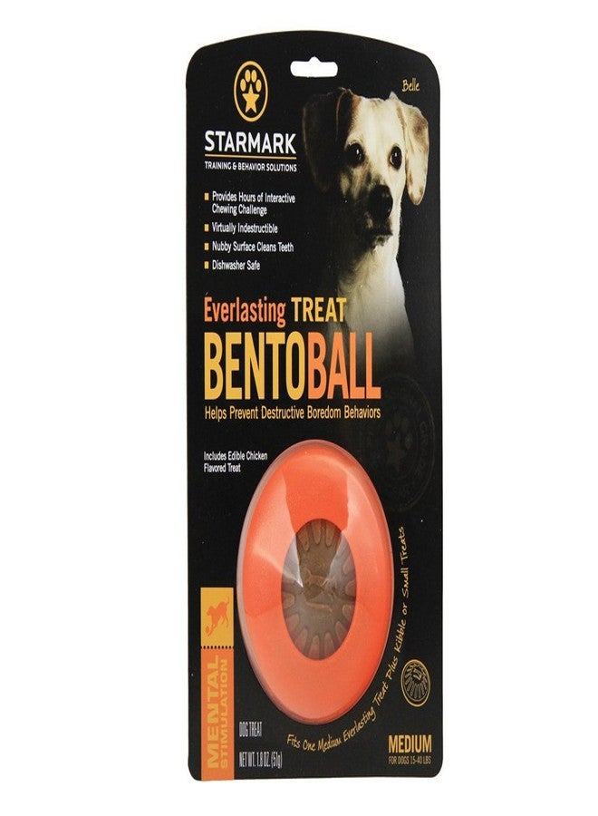 Starmark Everlasting Treat Bento Ball Tough Dog Chew Toy Medium - Image 1