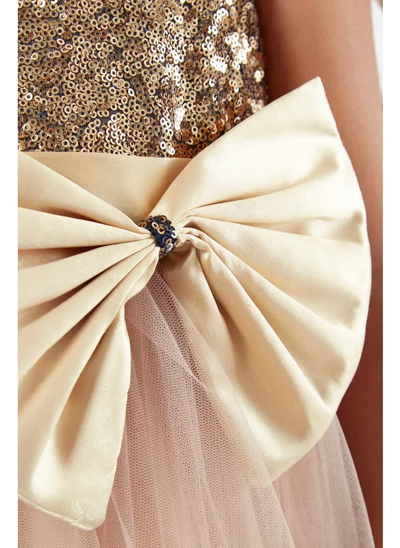 Amri Sequins Long Frock With Tulle Flare