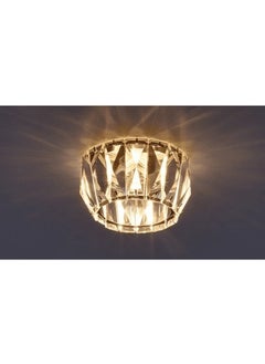 ACK 1602-078 Decorative (Without Bulb) Spot Luminaire  - Image 2