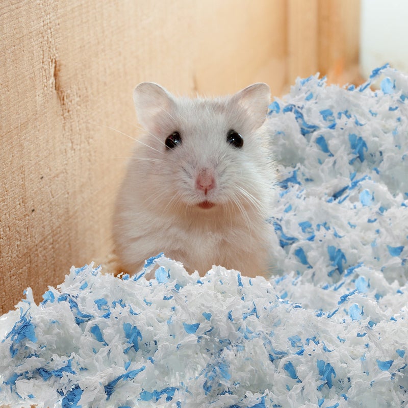 1 Bag Pets Rest Absorbent Liners Small Animals Paper Chip Shavings Pet Supplies - Image 5