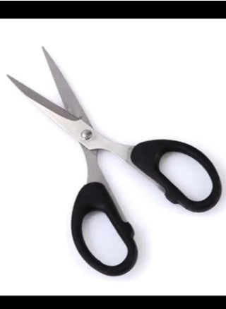 Multi-purpose scissors with a sharp tip, black/silver - pzsku/Z3F93098F631560880AC0Z/45/_/1725601977/cbed91c1-203d-4699-a8dc-3e6bac691285