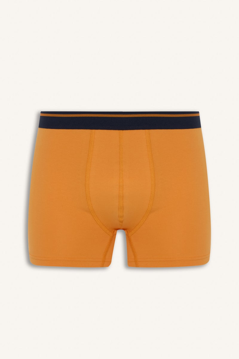 ديفاكتو بوكسر قصة عادية - 3 قطع - Image 5