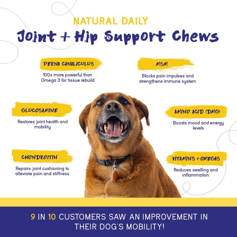 PupGrade Joint Support Supplement for Dogs - Natural Glucosamine Chondroitin with MSM - Hip & Joint Pain Relief - Recommended for Hip Dysplasia, Arthritis & Joint Disease - USA Tested - 60 Chews - Image 4