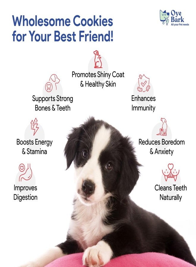 بسكويت أوي بارك بارك بايت للكلاب ٥٠٠ غرام | بسكويت مقرمش للجراء والكلاب البالغة | مكافآت صحية لتدريب الكلاب ووجبات خفيفة يومية | دجاج، دخن وأرز | مكافآت لجميع السلالات - Image 3